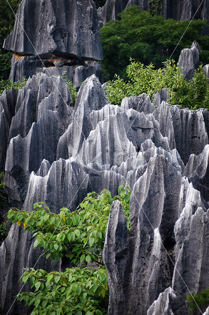 Shilin National Park