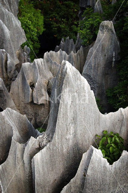 Shilin National Park