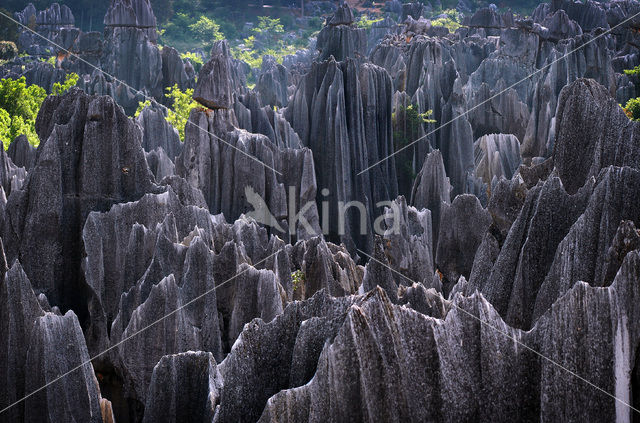 Shilin National Park