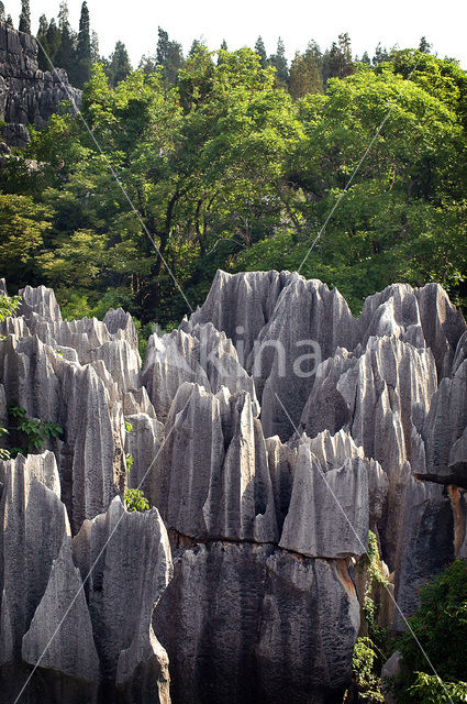 Shilin National Park