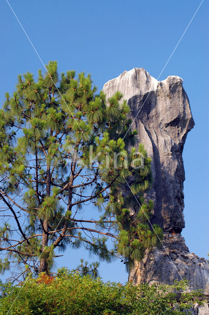 Shilin National Park