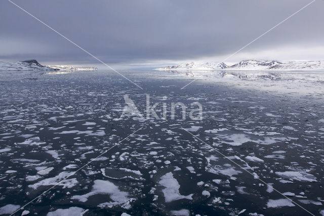 Spitsbergen