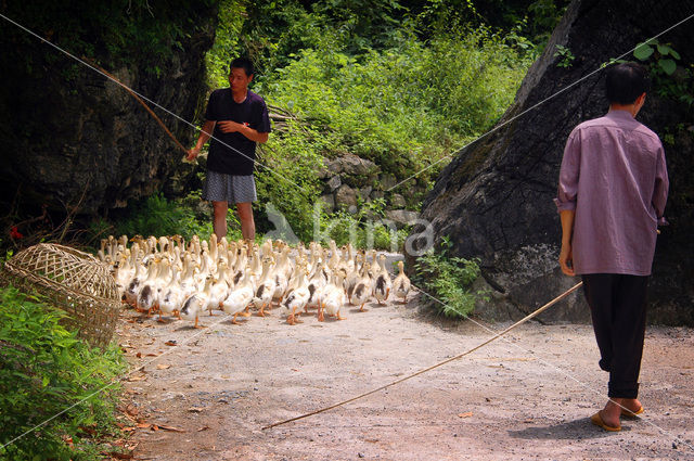 Yangshuo