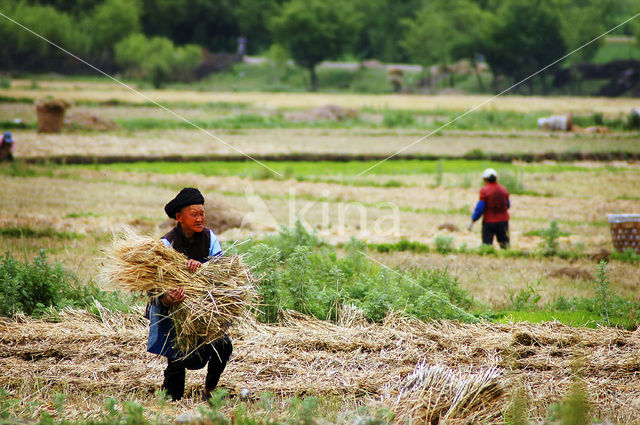 Yunnan