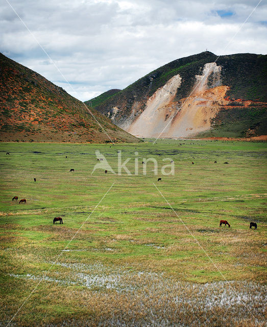 Zhongdian