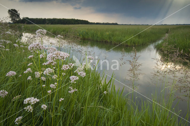 Haulerpolder