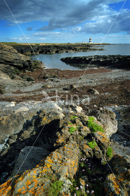 Hook Head