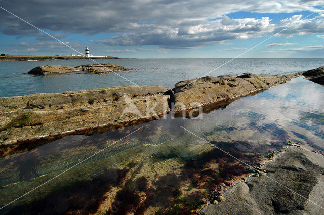 Hook Head