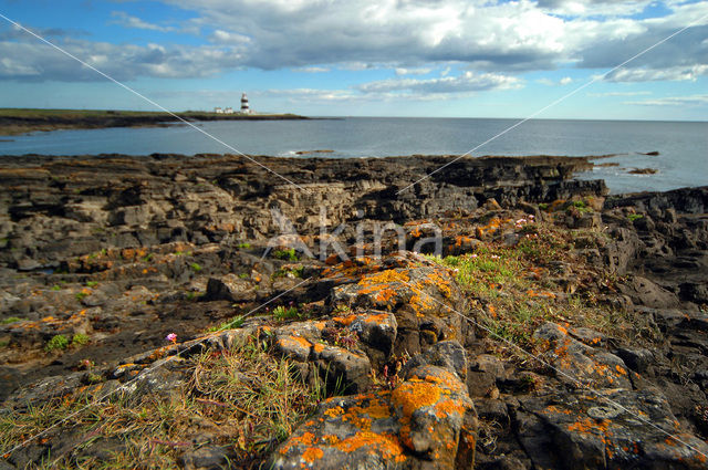 Hook Head