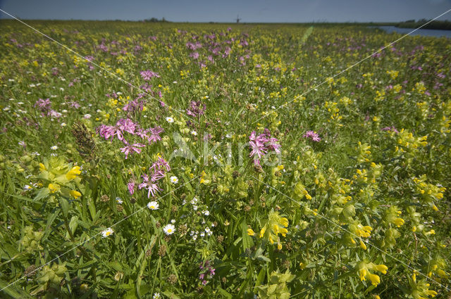 Lage land van Texel