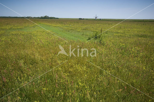 Lage land van Texel