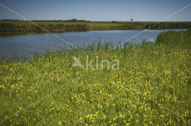 Lage land van Texel