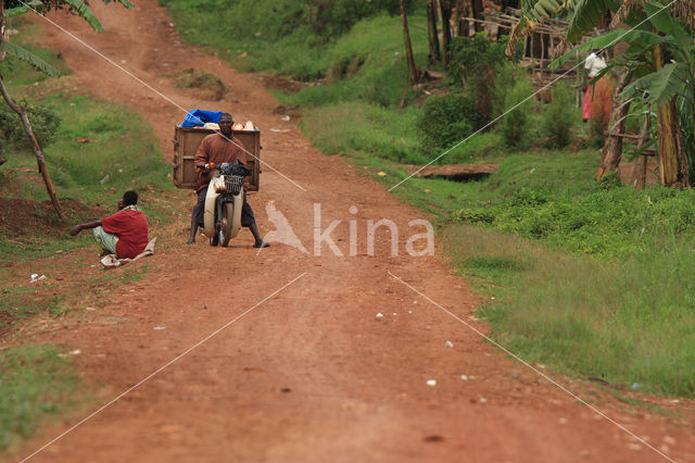 Mabira Forest Reserve