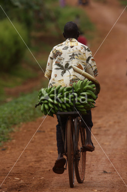 Mabira Forest Reserve