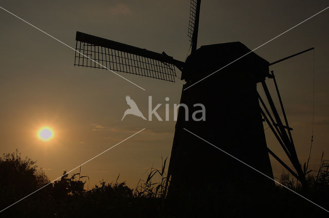 Windmills