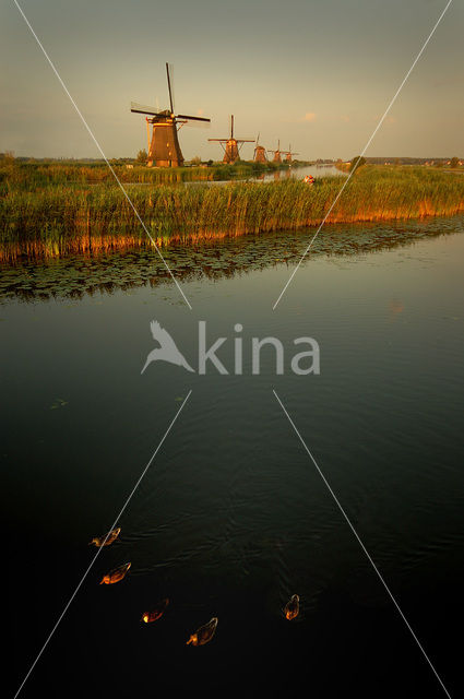 Windmills