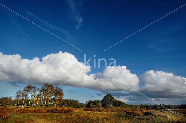 Nationaal Park De Hoge Veluwe