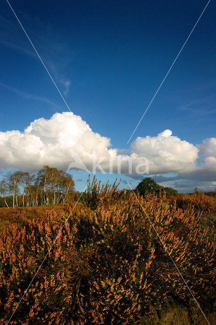 Nationaal Park De Hoge Veluwe