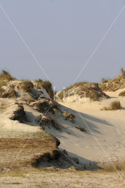 Nationaal Park Duinen van Texel