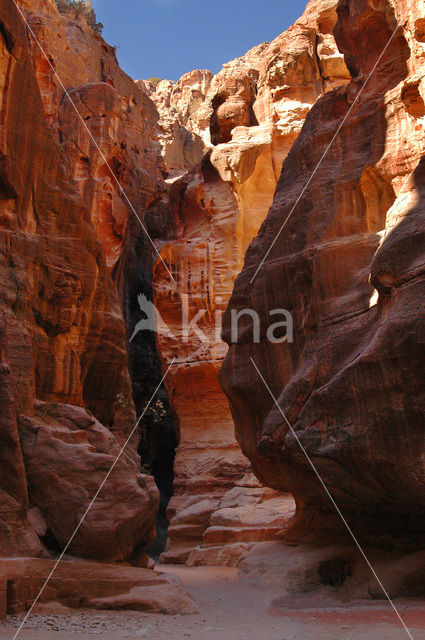 Petra