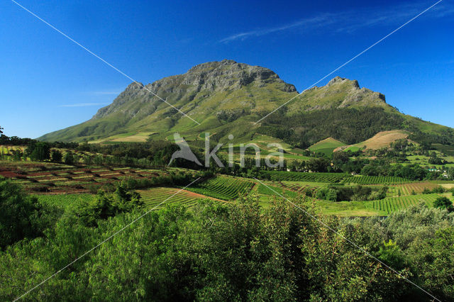 Stellenbosch