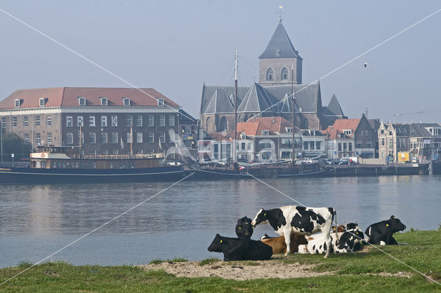 Buitenkerk