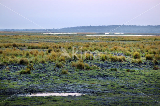 Chobe national park