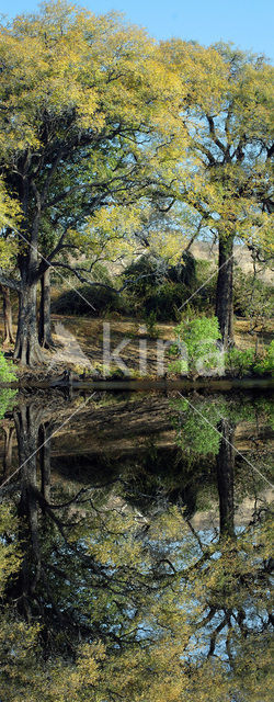 Chobe national park