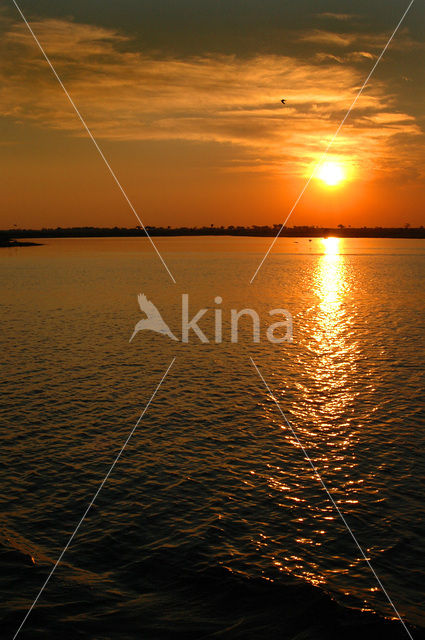 Chobe national park