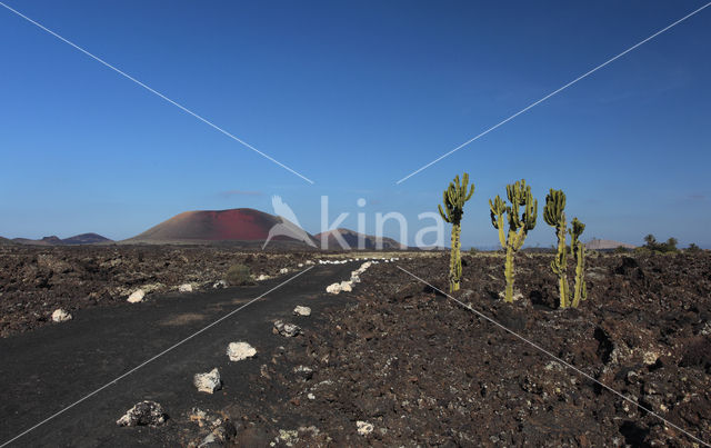 Lanzarote