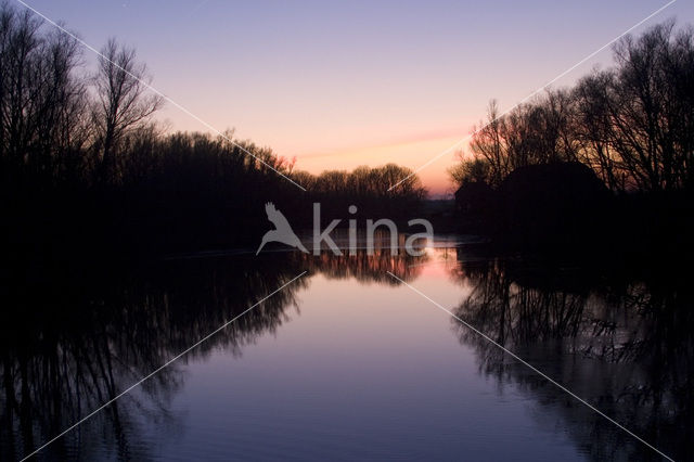 Nationaal Park de Biesbosch