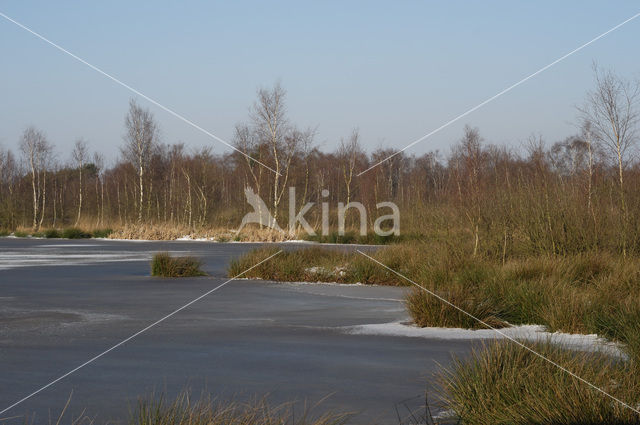 Nationaal Park de Groote Peel