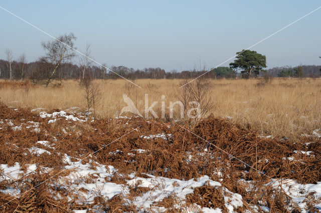 Nationaal Park de Groote Peel