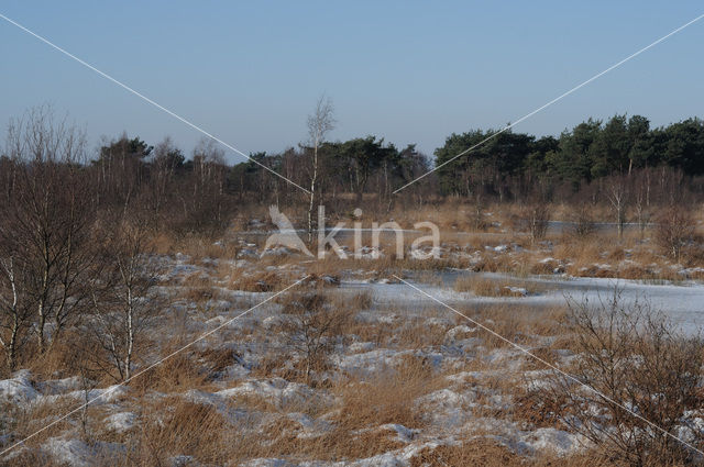 Nationaal Park de Groote Peel