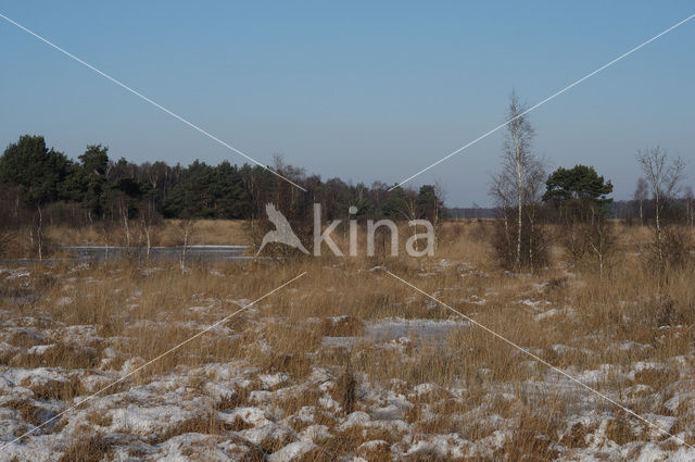 Nationaal Park de Groote Peel