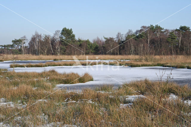 Nationaal Park de Groote Peel