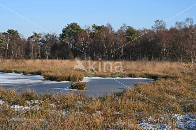 National Park de Groote Peel