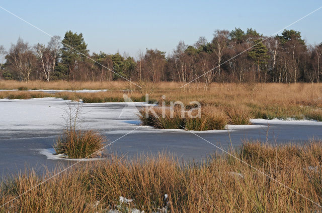 Nationaal Park de Groote Peel