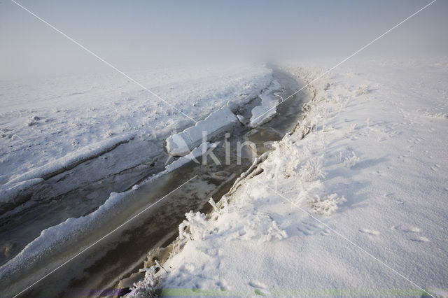 Noord Friesland Buitendijks