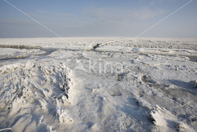 Noord Friesland Buitendijks