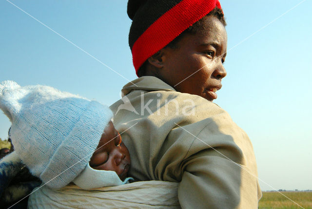 Okavango delta