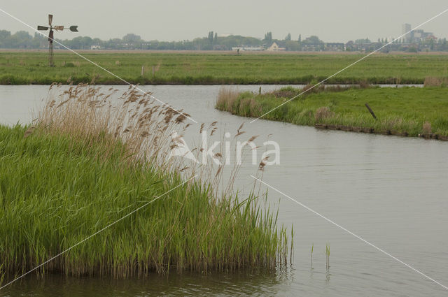 Polder Westzaan