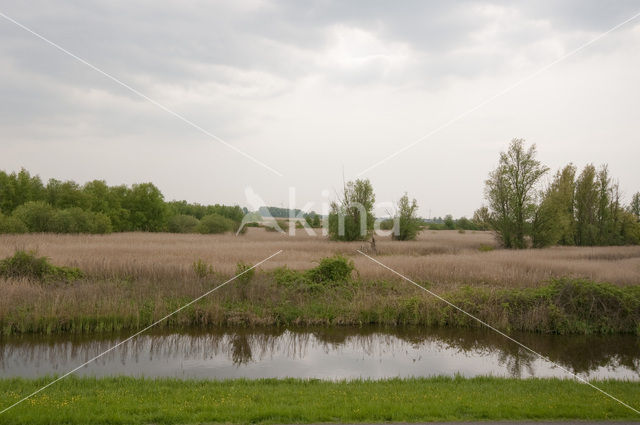 Polder Westzaan