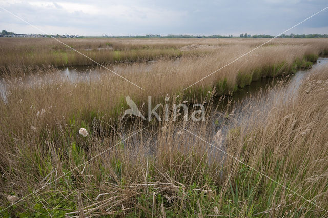 Polder Westzaan