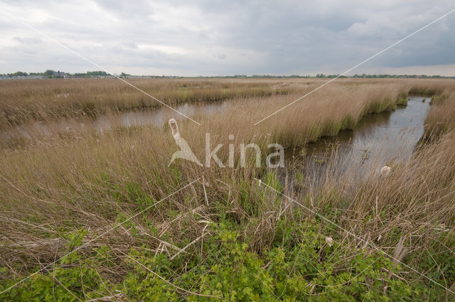 Polder Westzaan