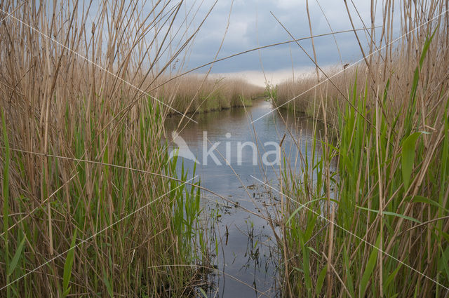 Polder Westzaan