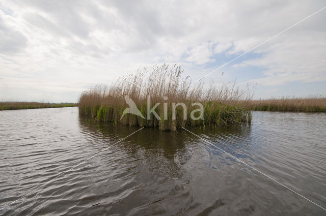 Polder Westzaan