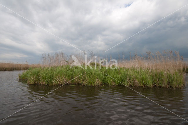 Polder Westzaan