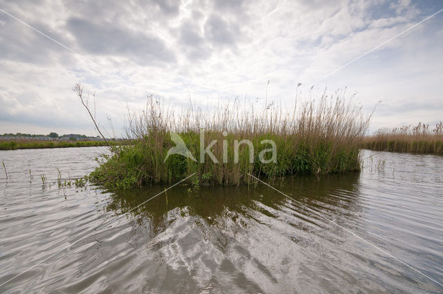 Polder Westzaan