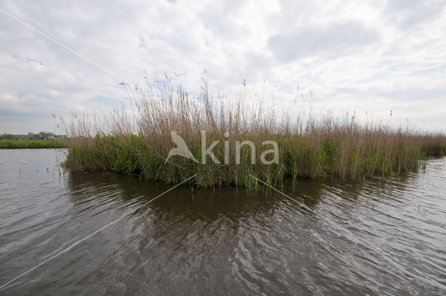 Polder Westzaan